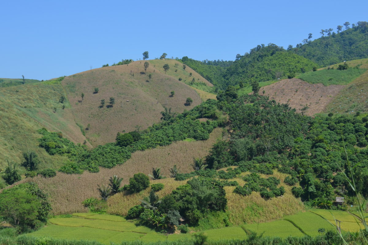 https://www.thehumblebee.org/images/Sustainable-Farming-and-Watershed-Protection.jpg